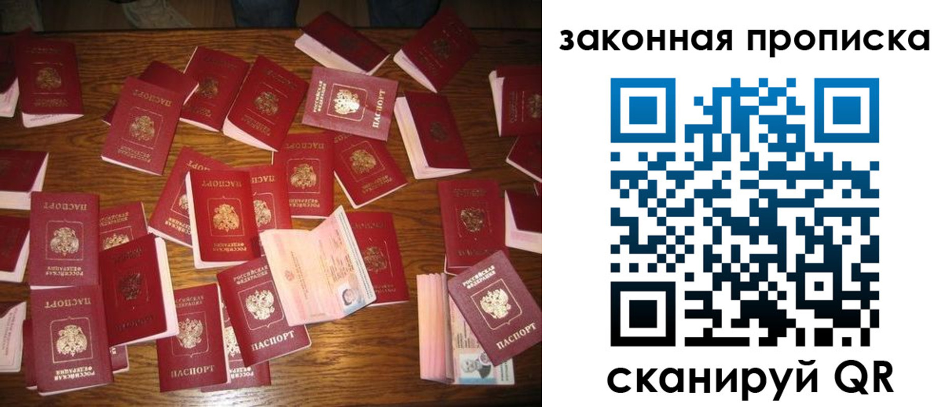 пропишу в квартире в Светогорске