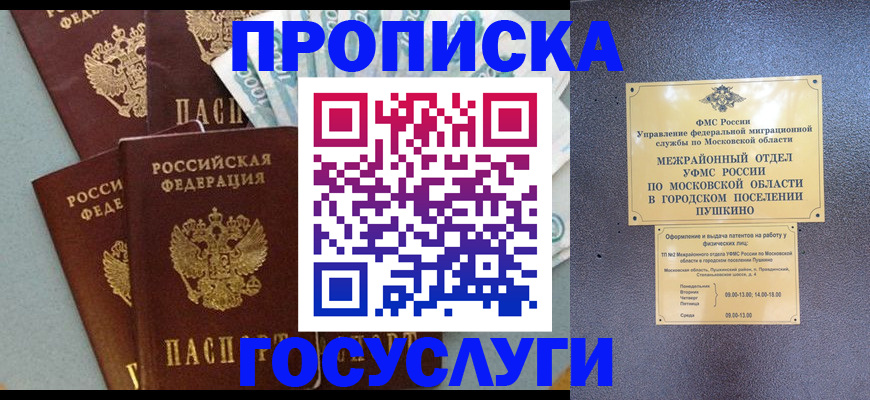 прописка гарантия в Светогорске